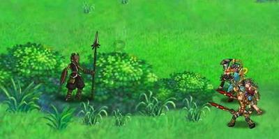 逃离野丛之森